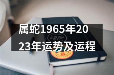 属蛇1965年2025年运势及运程