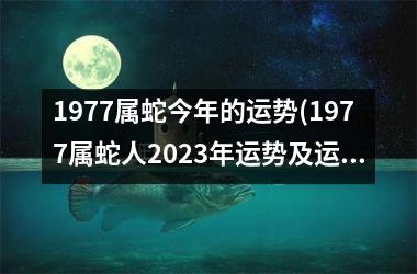 1977属蛇今年的运势(1977属蛇人2025年运势及运程每月运程)