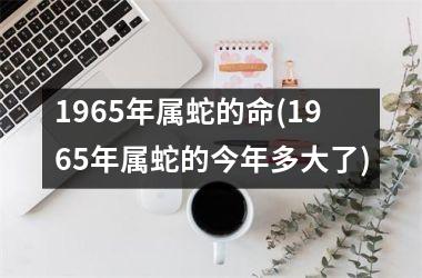 1965年属蛇的命(1965年属蛇的今年多大了)