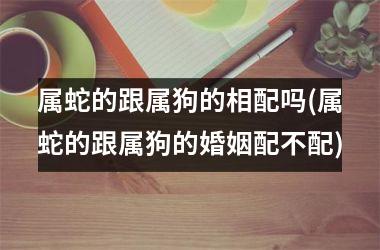 <h3>属蛇的跟属狗的相配吗(属蛇的跟属狗的婚姻配不配)