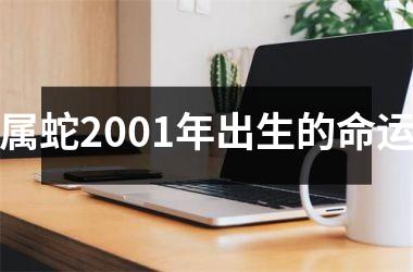 属蛇2001年出生的命运