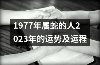 <h3>1977年属蛇的人2025年的运势及运程