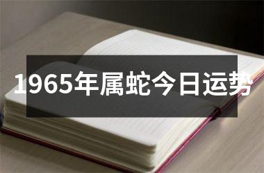 1965年属蛇今日运势