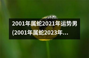 2001年属蛇2025年运势男(2001年属蛇2025年运势及运程每月运程)