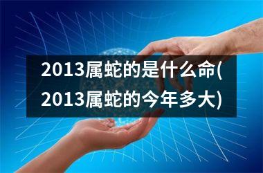 2013属蛇的是什么命(2013属蛇的今年多大)