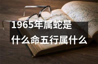 1965年属蛇是什么命五行属什么