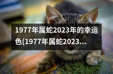 1977年属蛇2025年的幸运色(1977年属蛇2025年运势及运程每月运程)