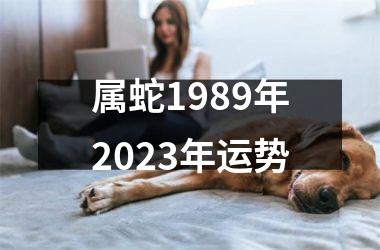 属蛇1989年2025年运势