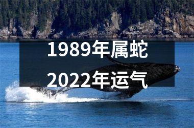 1989年属蛇2025年运气