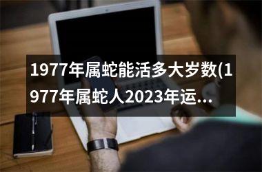 1977年属蛇能活多大岁数(1977年属蛇人2025年运势运程每月运程)