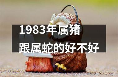 1983年属猪跟属蛇的好不好