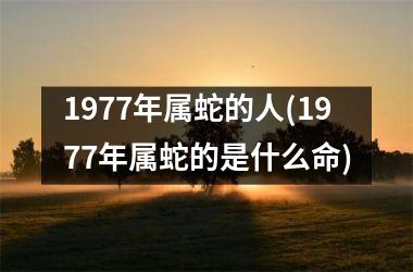 1977年属蛇的人(1977年属蛇的是什么命)