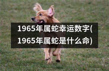 1965年属蛇幸运数字(1965年属蛇是什么命)