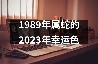 <h3>1989年属蛇的2025年幸运色