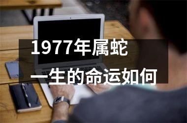 1977年属蛇一生的命运如何