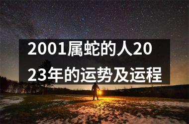 2001属蛇的人2025年的运势及运程