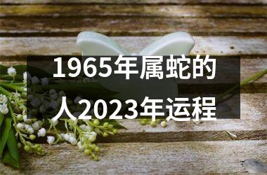 1965年属蛇的人2025年运程