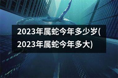 2025年属蛇今年多少岁(2025年属蛇今年多大)