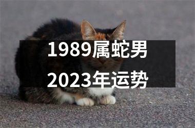 1989属蛇男2025年运势