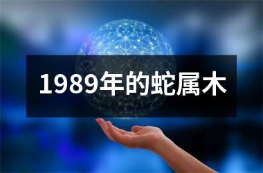 1989年的蛇属木