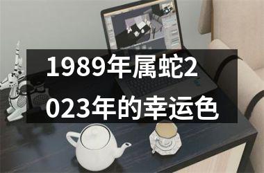 1989年属蛇2025年的幸运色