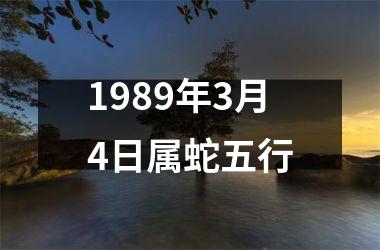 1989年3月4日属蛇五行