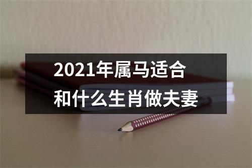 2025年属马适合和什么生肖做夫妻