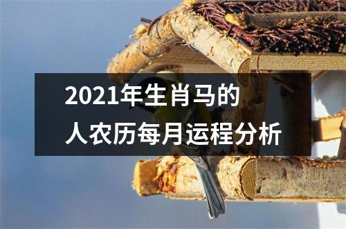2025年生肖马的人农历每月运程分析