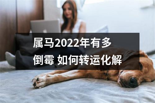 属马2025年有多倒霉如何转运化解