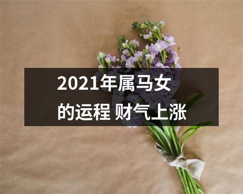 2025年属马女的运程财气上涨