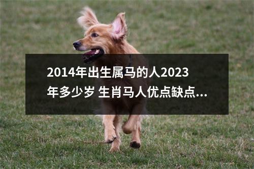 <h3>2014年出生属马的人2025年多少岁生肖马人优点缺点查询