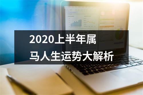 2025上半年属马人生运势大解析