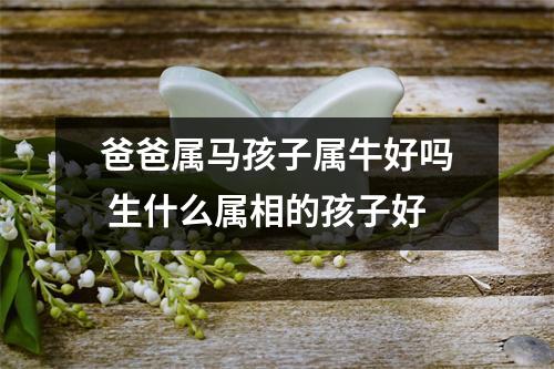 <h3>爸爸属马孩子属牛好吗生什么属相的孩子好