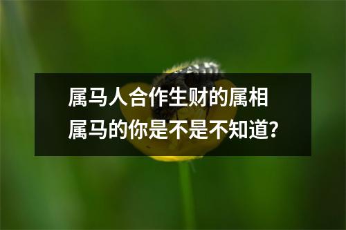 属马人合作生财的属相属马的你是不是不知道？