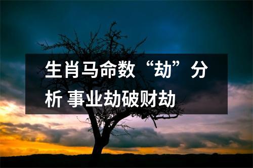 生肖马命数“劫”分析事业劫破财劫