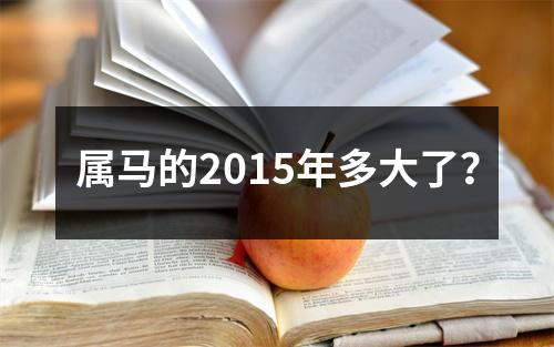 属马的2015年多大了？