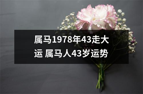 <h3>属马1978年43走大运属马人43岁运势