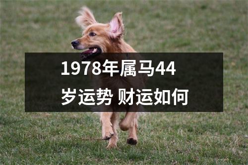 1978年属马44岁运势财运如何