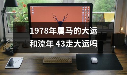 1978年属马的大运和流年43走大运吗