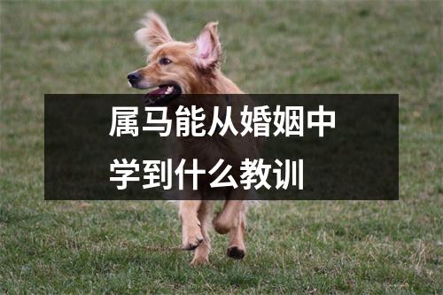 属马能从婚姻中学到什么教训