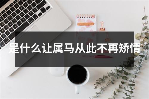 是什么让属马从此不再矫情