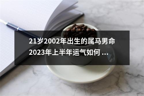 21岁2002年出生的属马男命2025年上半年运气如何运势详解