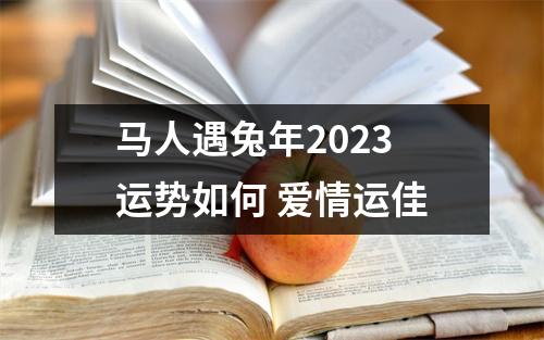 马人遇兔年2025运势如何爱情运佳