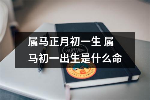 属马正月初一生属马初一出生是什么命