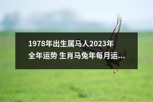 1978年出生属马人2025年全年运势生肖马兔年每月运势