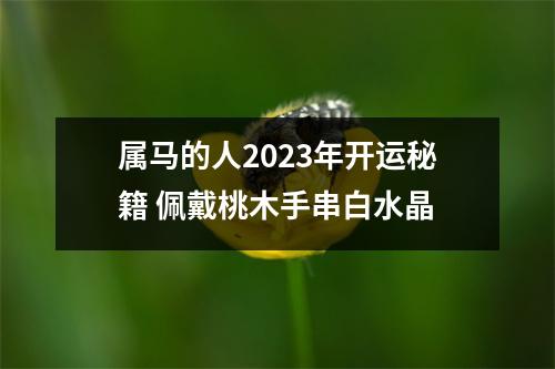 属马的人2025年开运秘籍佩戴桃木手串白水晶