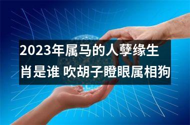 2025年属马的人孽缘生肖是谁 吹胡子瞪眼属相狗