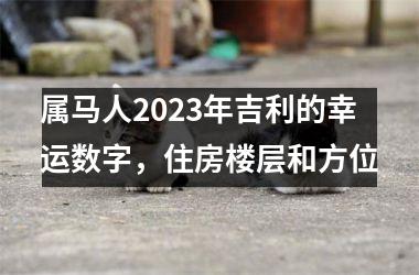 属马人2025年吉利的幸运数字，住房楼层和方位