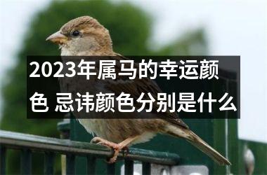 2025年属马的幸运颜色 忌讳颜色分别是什么