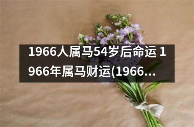 1966人属马54岁后命运 1966年属马财运(1966年属马人2025年财运)